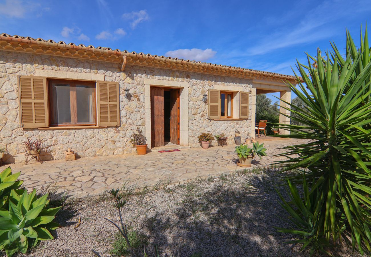 Finca in Llubi - 137 Finca Son Bernat ETV/9442 by Mallorca Charme
