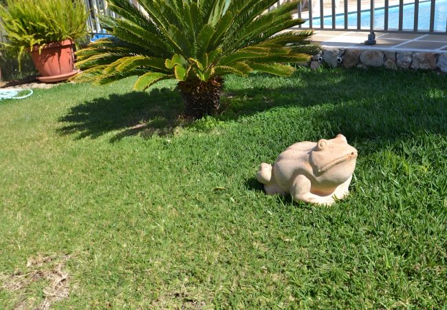 Finca in Inca - 171 Villa Tramuntana VT/1956 by Mallorca Charm Finca in Inca - 171 Villa Tramuntana VT/1956 by Mallorca Charm