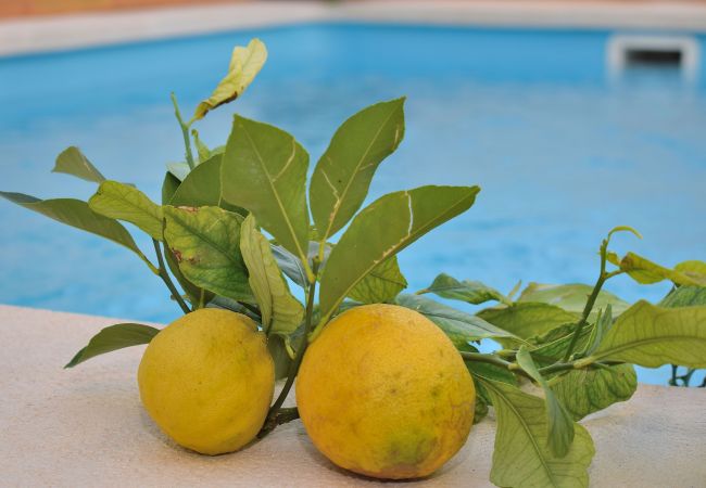 Ferienhaus in Santa Margalida - 213 Casa Can Cantino ETV/5779 by Mallorca Charme Ferienhaus in Santa Margalida - 213 Casa Can Cantino ETV/5779 by Mallorca Charme