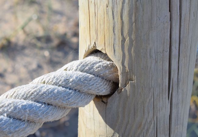 Finca in Campos - 403 Finca Can Toni ETV 273 by Mallorca Charme Finca in Campos - 403 Finca Can Toni ETV 273 by Mallorca Charme