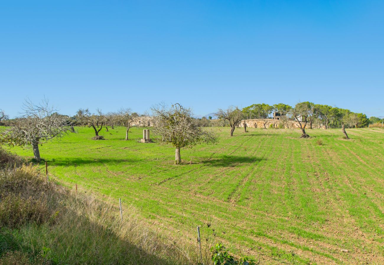 Finca in Santa Margalida - SON VADO typisch mallorquinische Finca für 4 Personen in Santa Margarita mit Pool