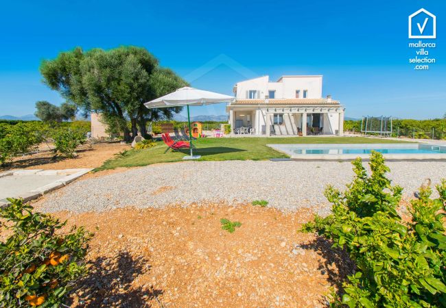 Finca in Llubi - C285 Albamar by Mallorca Villa Selection Finca in Llubi - C285 Albamar by Mallorca Villa Selection