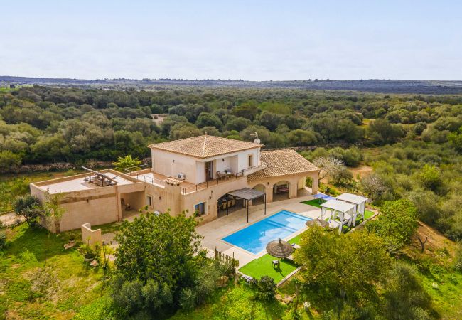 Finca in Campos - SA PEDRERA Finca für 8 in Feldern mit Schwimmbad