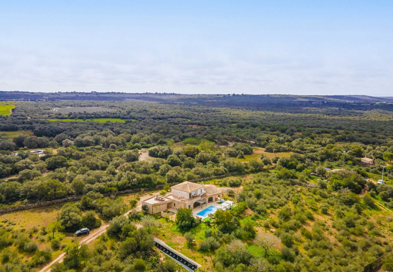 Finca in Campos - SA PEDRERA Finca für 8 in Feldern mit Schwimmbad