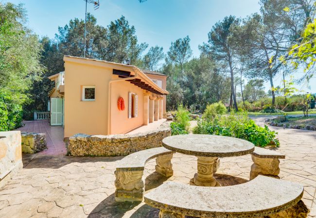 Villa in Sa Pobla - ESTEBAN Finca für 6 Personen mit Schwimmbad inmitten der Natur