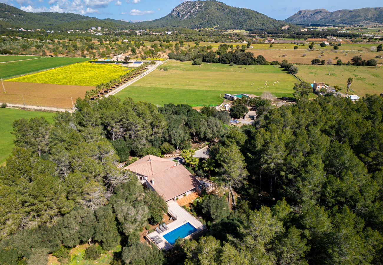 Villa in Sa Pobla - Ferragut Crestatx by Mallorca Villa Selection