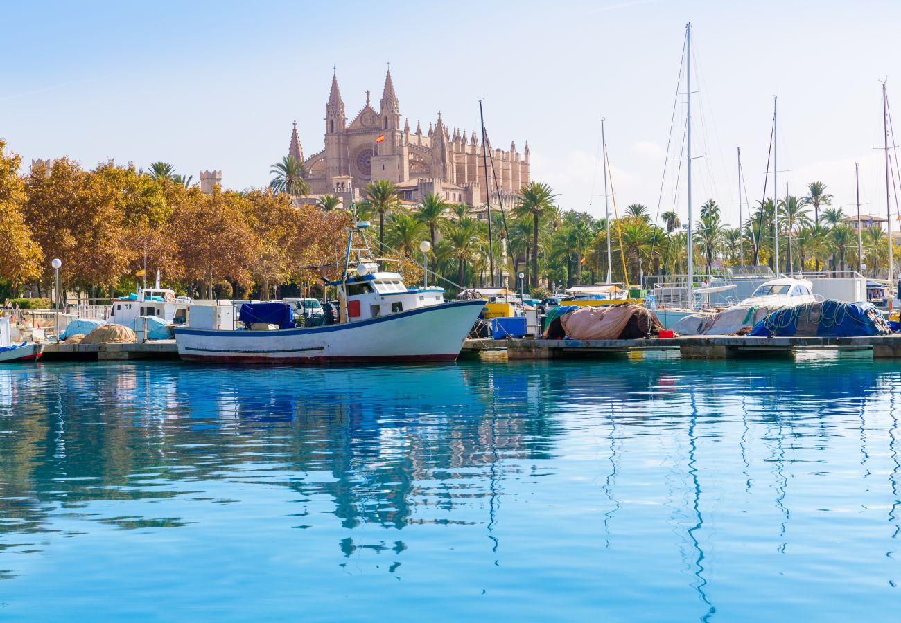 Doppelhaushälfte in Ariany - E429 Ca na Sabatera by Mallorca Villa Selection