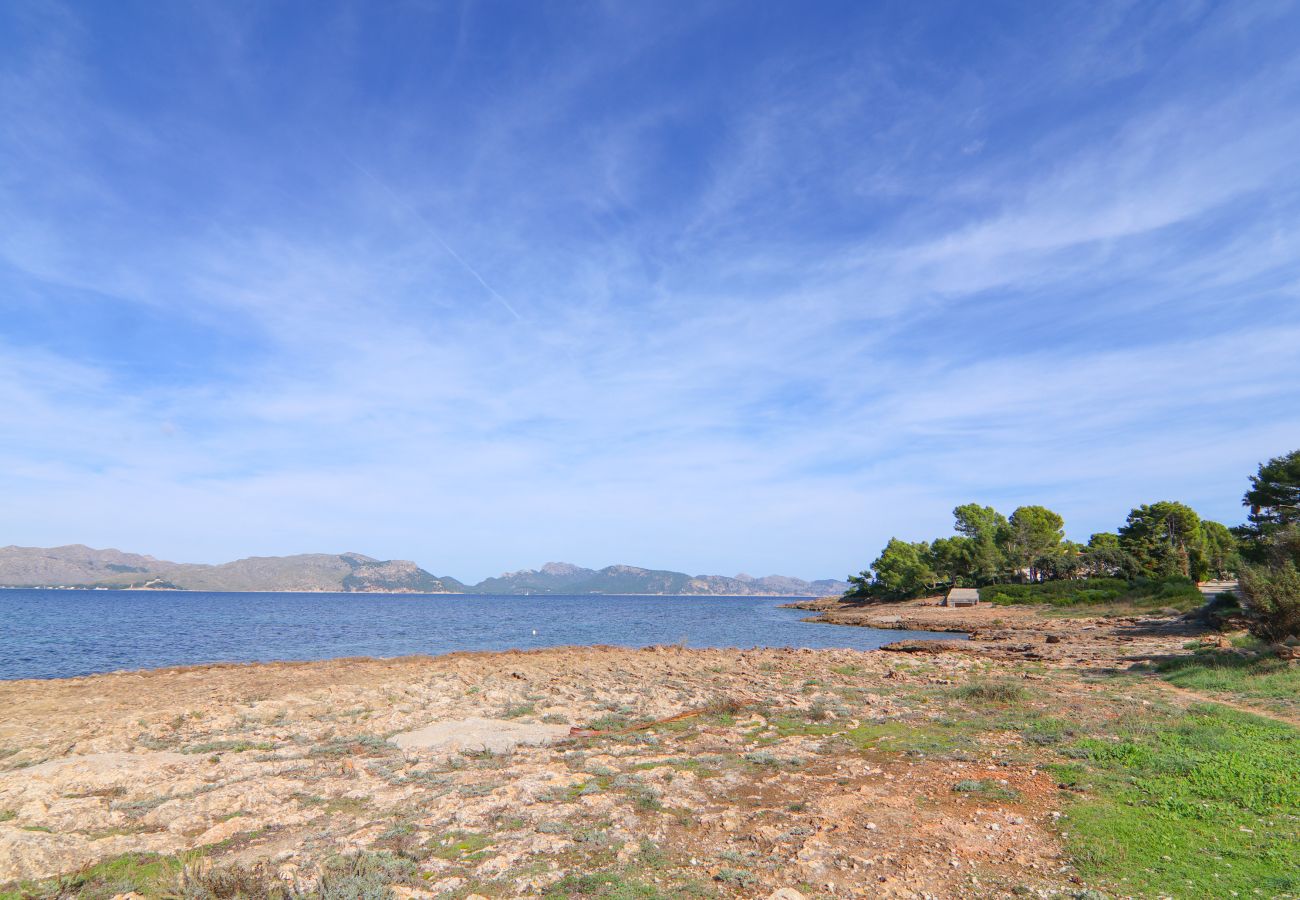 Villa in Alcudia - 274 Villa Manresa ETV/4301 by Mallorca Charme