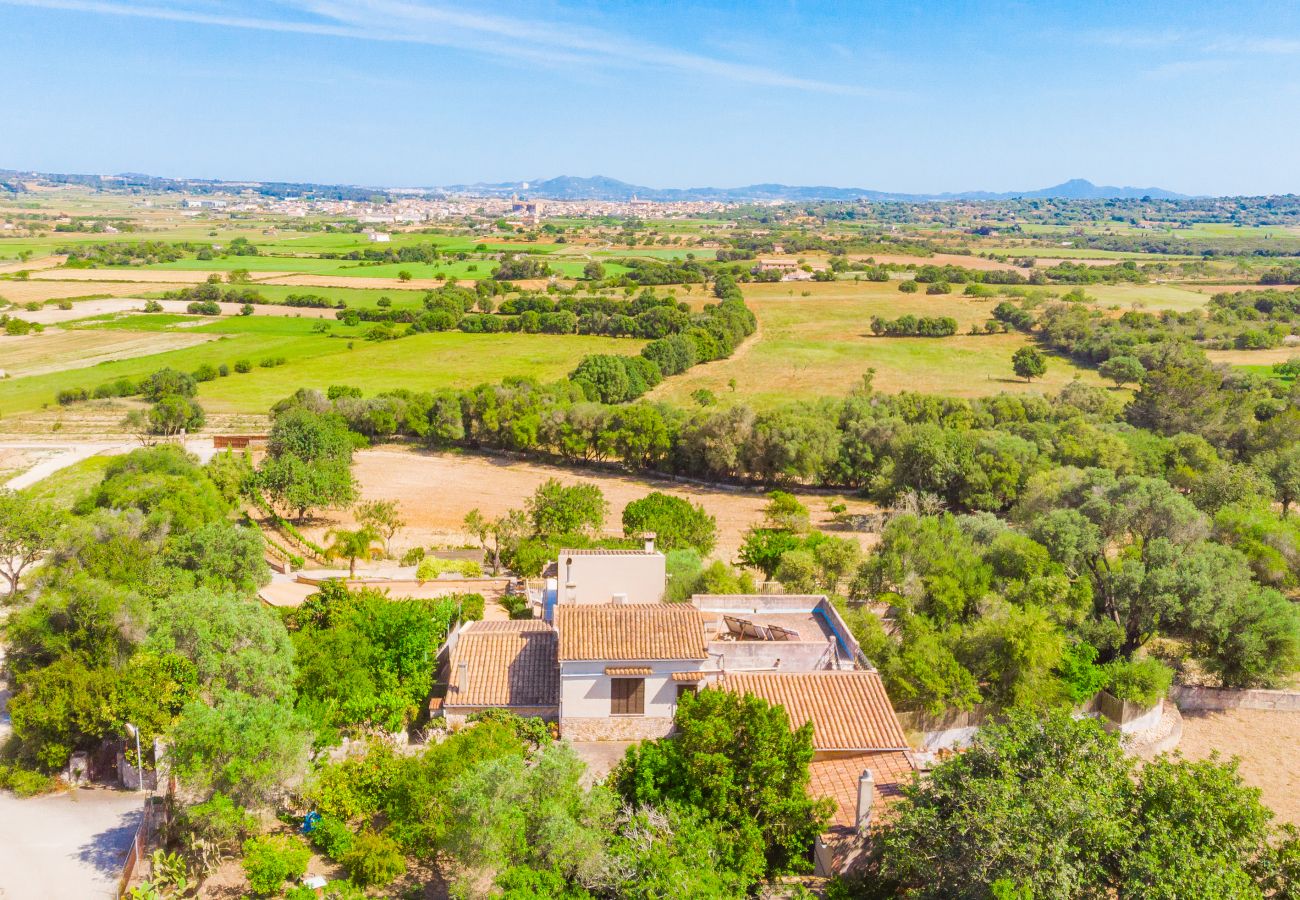 Finca in Petra - Nines mit Pool für 6 Personen in Petra