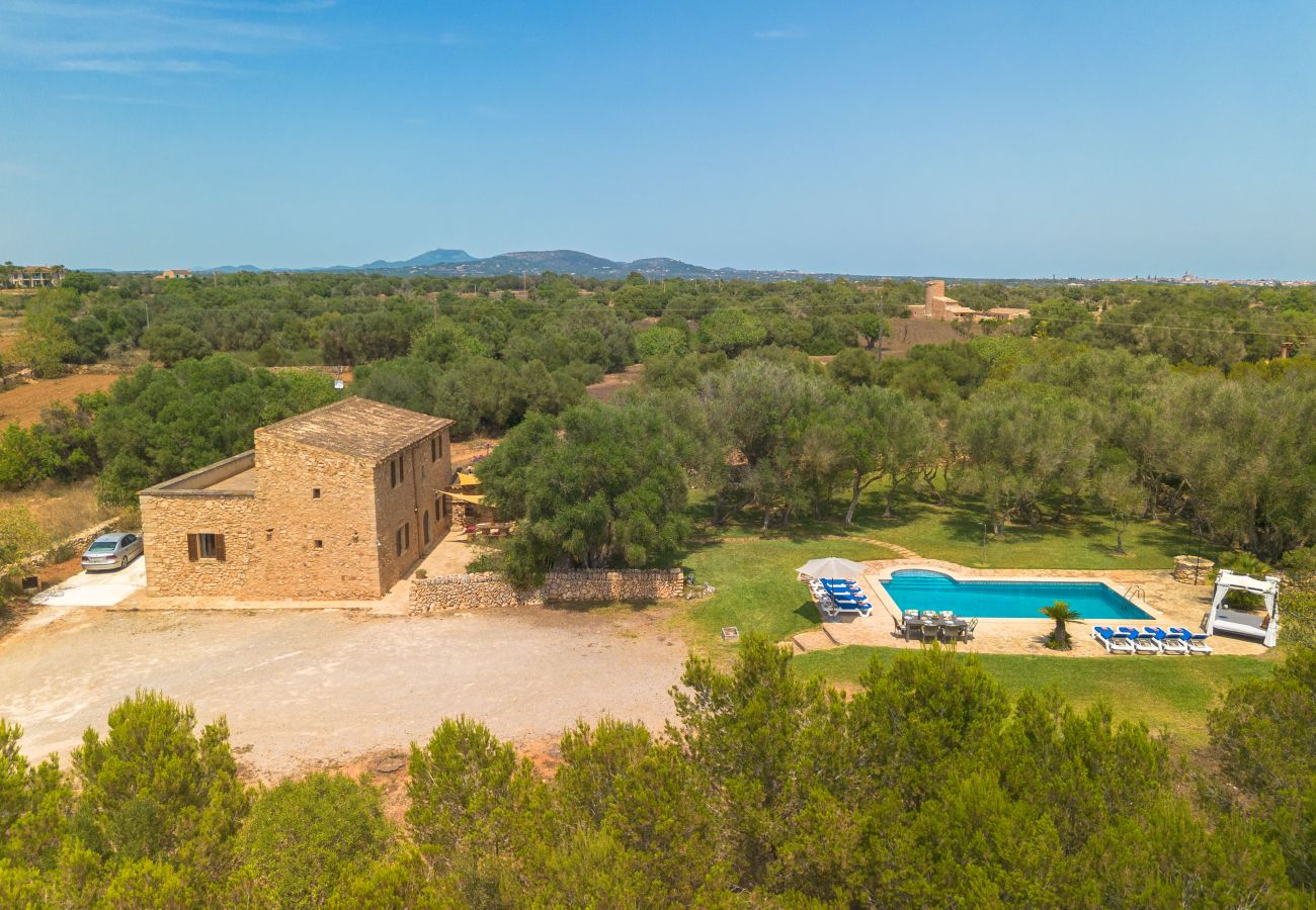 Villa in Es Llombards - E433 Villa Son Fumat by Mallorca Villa Selection
