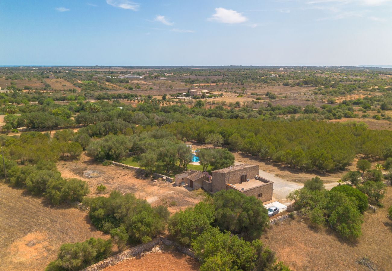 Villa in Es Llombards - E433 Villa Son Fumat by Mallorca Villa Selection