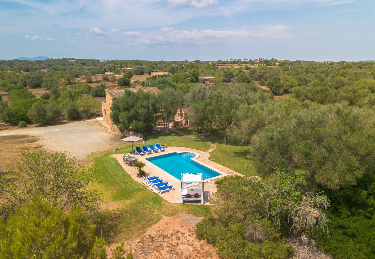 Villa in Es Llombards - E433 Villa Son Fumat by Mallorca Villa Selection