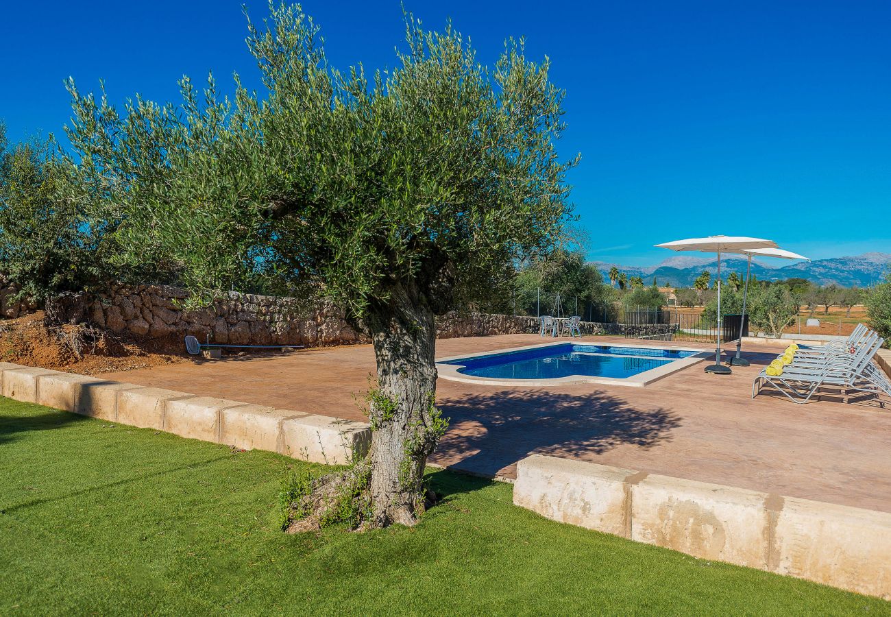 Villa in Sencelles - ED105 Villa Brivo by Mallorca Villa Selection