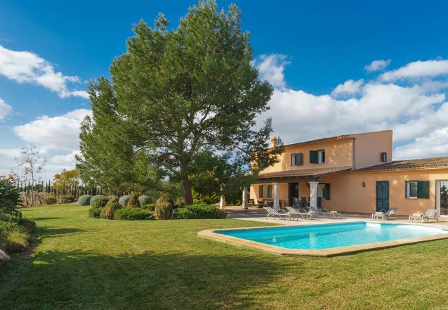 Villa in Binissalem - Melchor Villa in Binissalem - Melchor