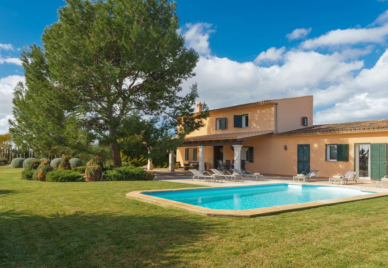 Villa in Binissalem - Melchor Villa in Binissalem - Melchor