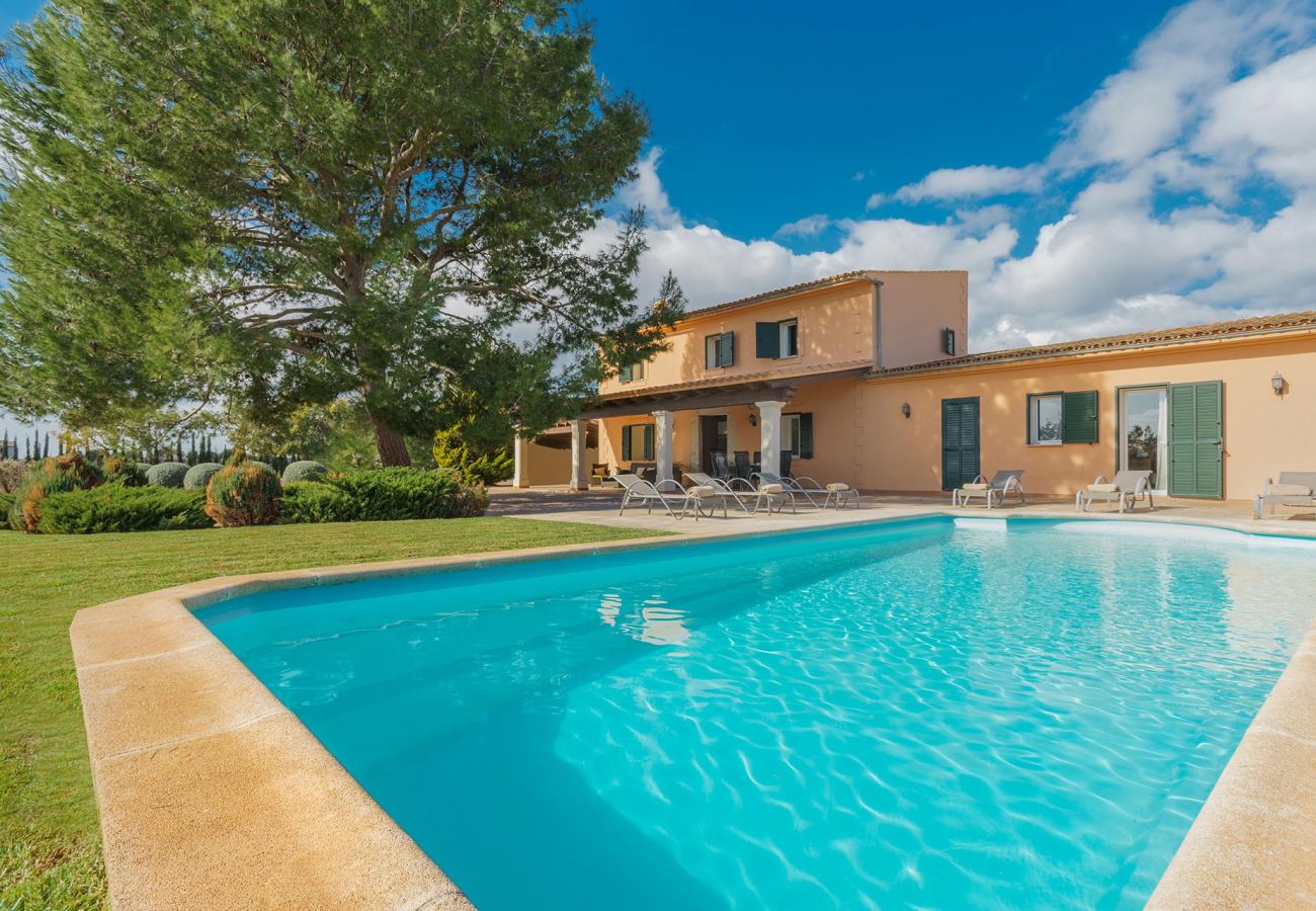 Villa in Binissalem - Melchor Villa in Binissalem - Melchor