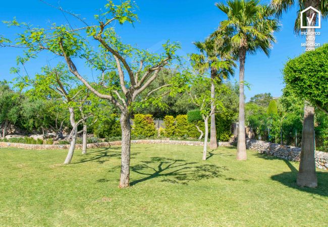 Chalet in Alcudia - Figueral Chalet in Alcudia - Figueral