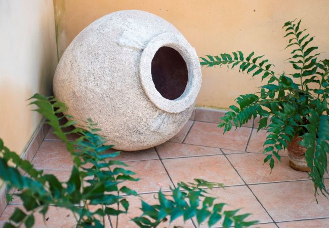 House in Muro - 039 Casa Marimar ETV/8486 by Mallorca Charme House in Muro - 039 Casa Marimar ETV/8486 by Mallorca Charme