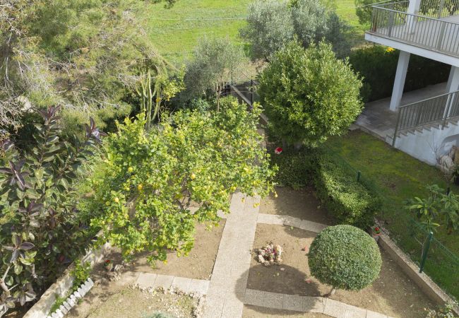 House in Alcúdia - 080 Casa Can Xim ETV/8770 by Mallorca Charme House in Alcúdia - 080 Casa Can Xim ETV/8770 by Mallorca Charme