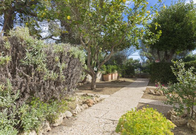 House in Alcúdia - 080 Casa Can Xim ETV/8770 by Mallorca Charme House in Alcúdia - 080 Casa Can Xim ETV/8770 by Mallorca Charme