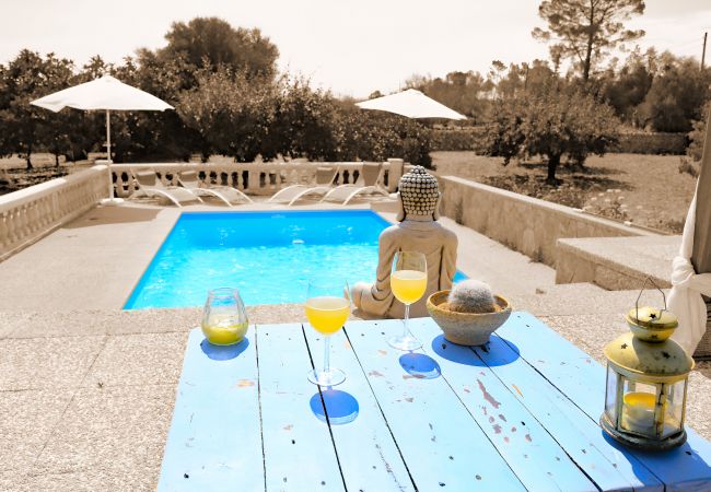 Country house in Sineu - 128 Finca Son Rossinyol ETV/10657 by Mallorca Char Country house in Sineu - 128 Finca Son Rossinyol ETV/10657 by Mallorca Char