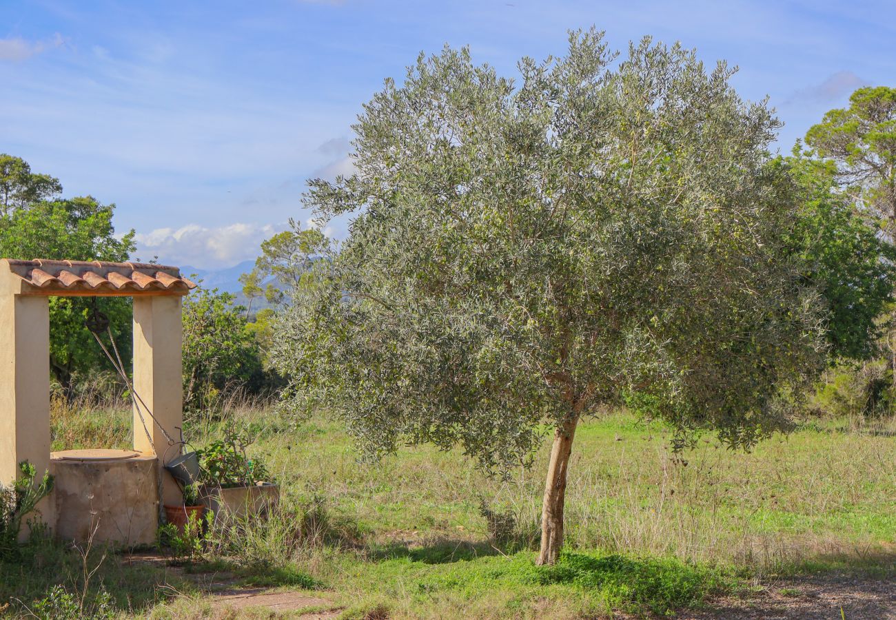 Country house in Llubi - 137 Finca Son Bernat ETV/9442 by Mallorca Charme