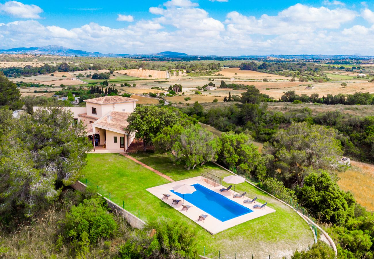 Country house in Santa Margalida - SON VADOR Finca with pool for 8 in Santa Margalida