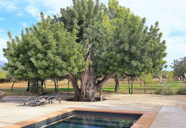 Country house in Binissalem - 151 Villa Es Triquet ET/3366 by Mallorca Charme Country house in Binissalem - 151 Villa Es Triquet ET/3366 by Mallorca Charme