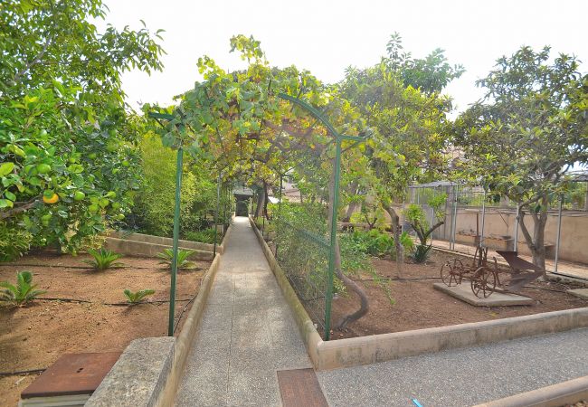 House in Muro - 187 Villa Can Bisbe ETV/8522 by Mallorca Charme House in Muro - 187 Villa Can Bisbe ETV/8522 by Mallorca Charme