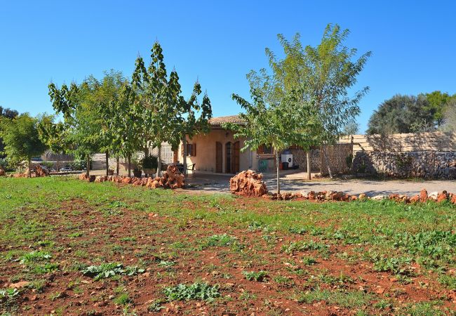 Country house in Muro - 225 Finca Sa Casita ETV/10575 by Mallorca Cha Country house in Muro - 225 Finca Sa Casita ETV/10575 by Mallorca Cha