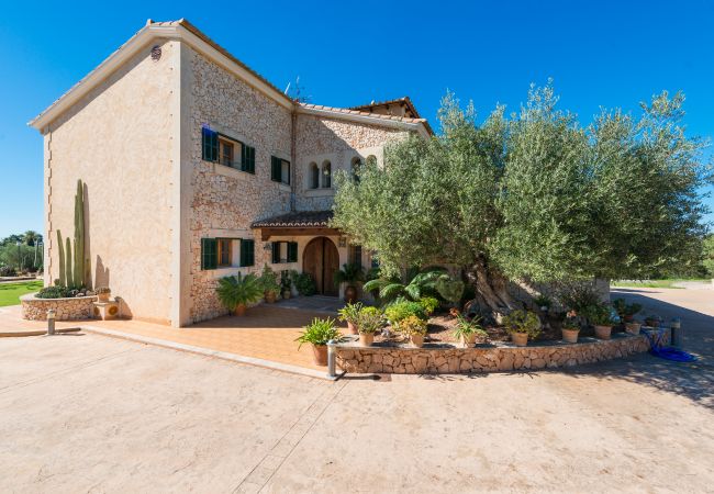 Country house in Palma de Mallorca - E096 Can Valero by Mallorca Villa Selection Country house in Palma de Mallorca - E096 Can Valero by Mallorca Villa Selection