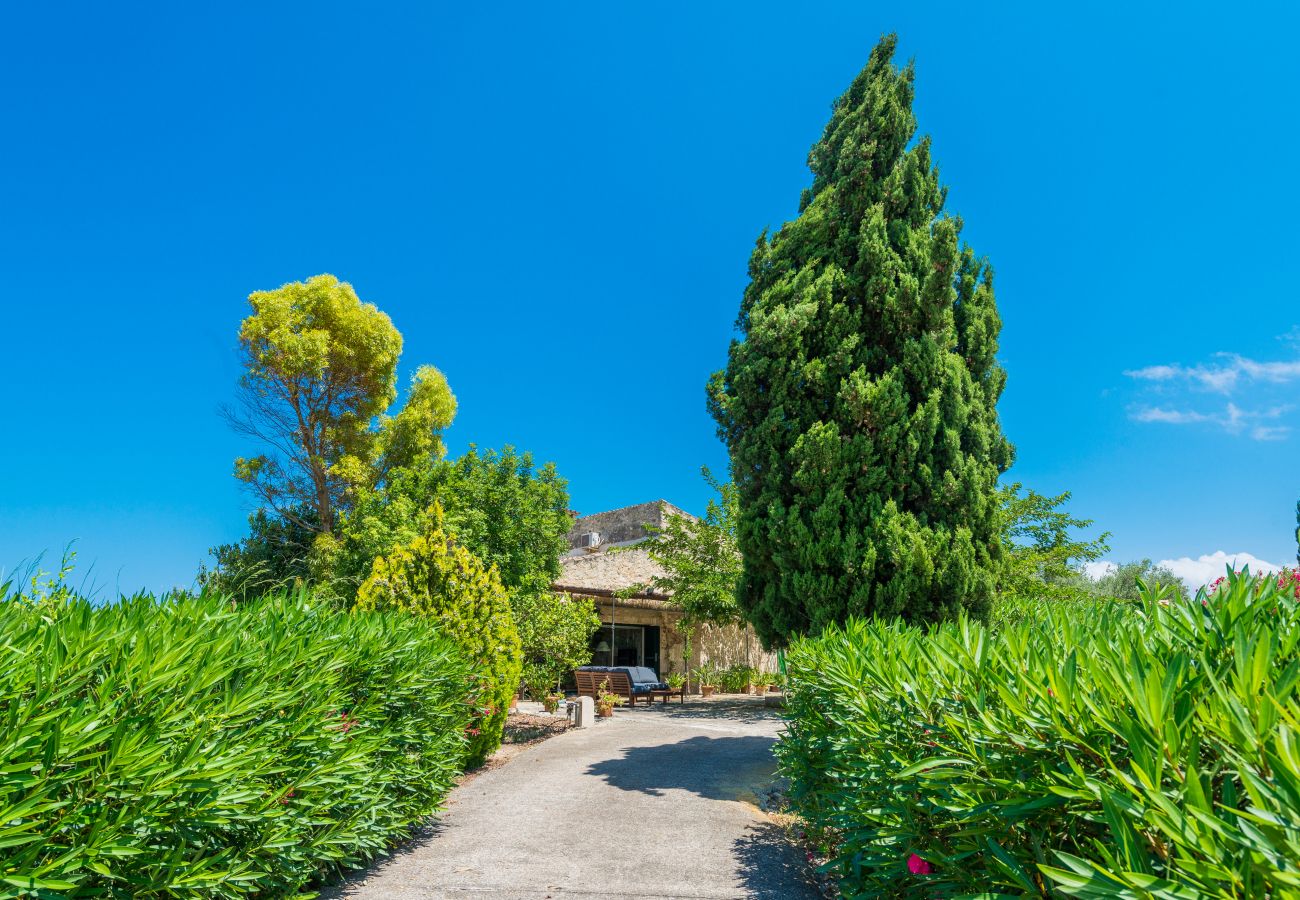 Country house in Santa Margalida - SON FUM :) Ecological fnca for 6 people in Santa Margalida. WiFi and AC