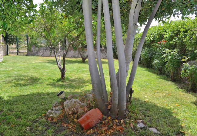 Country house in Lloret de Vistalegre - 018 Finca Can Blanc ETV/44 by Mallorca Charme Country house in Lloret de Vistalegre - 018 Finca Can Blanc ETV/44 by Mallorca Charme