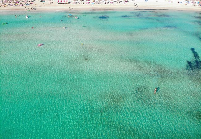 Apartment in Alcúdia - 174 Apartamento Fantastic ETVPL/12650 by Mallorca Apartment in Alcúdia - 174 Apartamento Fantastic ETVPL/12650 by Mallorca