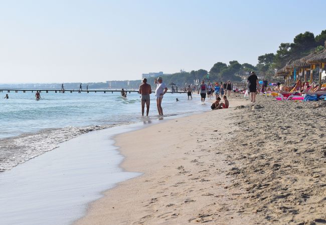 Apartment in Alcúdia - 174 Apartamento Fantastic ETVPL/12650 by Mallorca Apartment in Alcúdia - 174 Apartamento Fantastic ETVPL/12650 by Mallorca