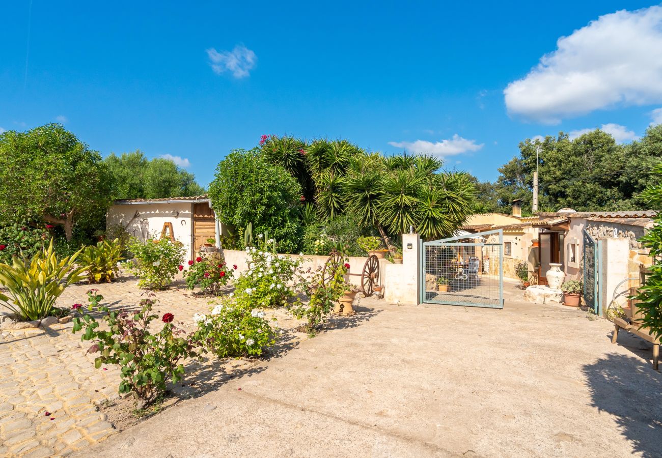 Country house in Arta - KASHMIR Finca for 3 with pool in Artá