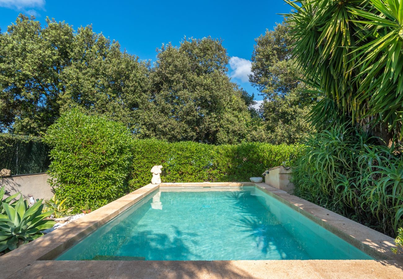 Country house in Arta - KASHMIR Finca for 3 with pool in Artá