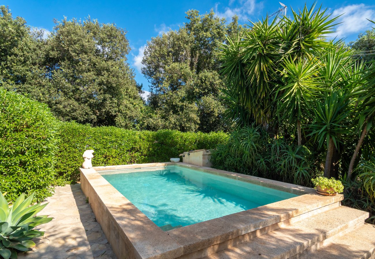 Country house in Arta - KASHMIR Finca for 3 with pool in Artá