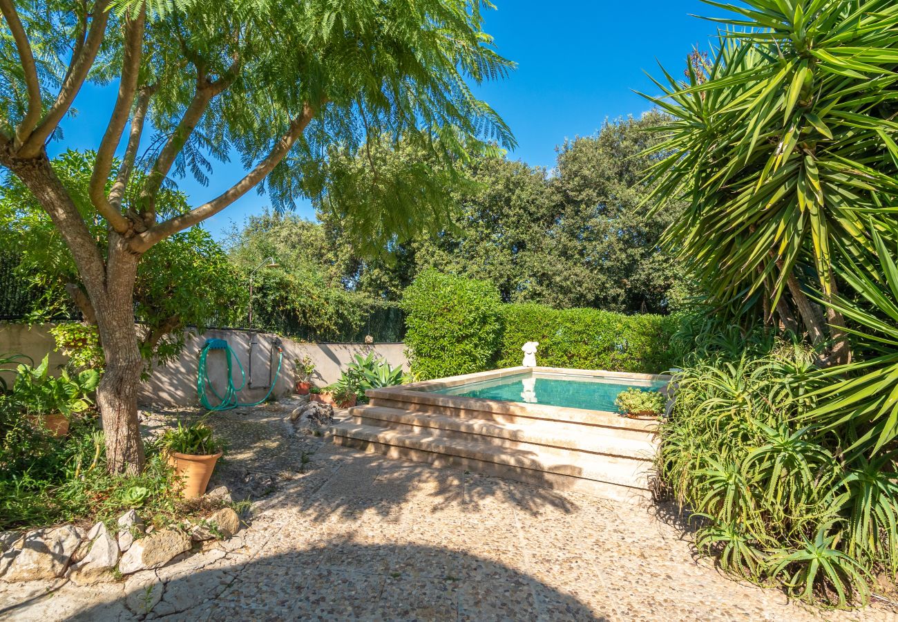 Country house in Arta - KASHMIR Finca for 3 with pool in Artá
