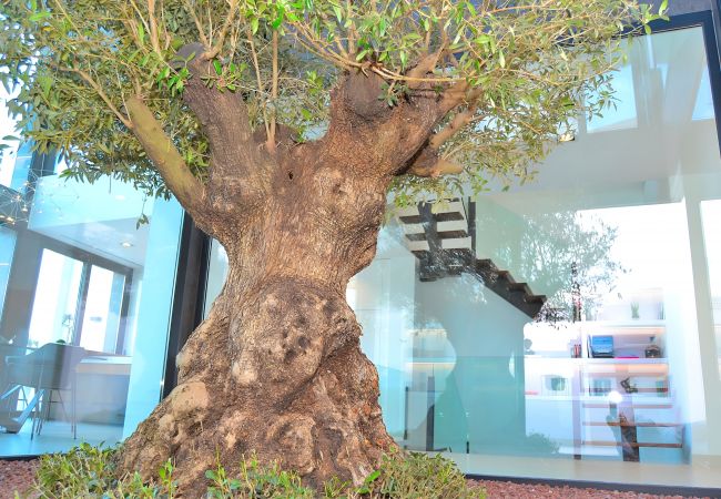 House in Buger - 049 Villa Montblau ETV/8205 by Mallorca Charme House in Buger - 049 Villa Montblau ETV/8205 by Mallorca Charme