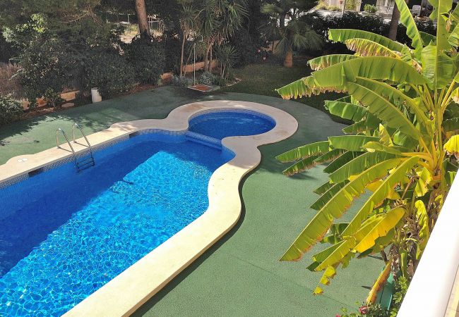 Apartment in Can Picafort - 092 Apartamento Ca n'Antonia ETVPL/13228 by Mallor Apartment in Can Picafort - 092 Apartamento Ca n'Antonia ETVPL/13228 by Mallor