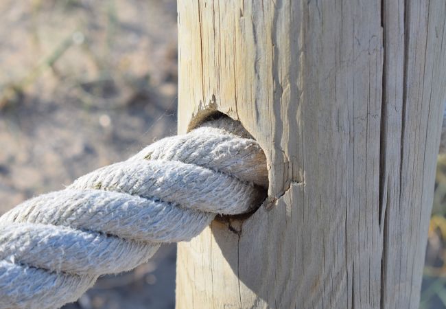 Apartment in Can Picafort - 092 Apartamento Ca n'Antonia ETVPL/13228 by Mallor Apartment in Can Picafort - 092 Apartamento Ca n'Antonia ETVPL/13228 by Mallor