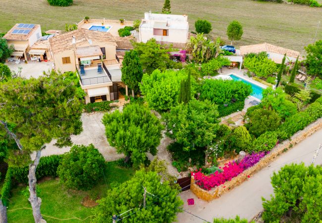 Country house in Alcudia - MARIPOSA Mallorca Villa Selection