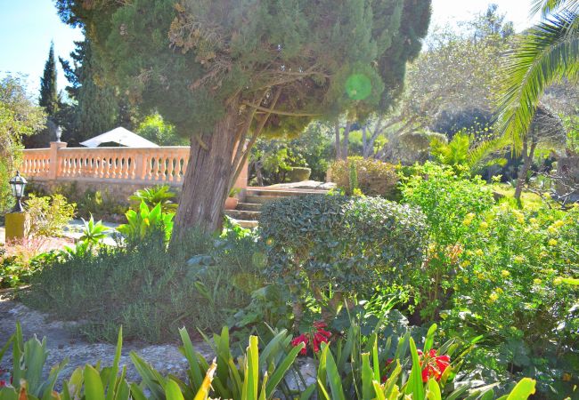 Country house in Pollensa - 057 Finca Mercedes ETV/120 by Mallorca Charme Country house in Pollensa - 057 Finca Mercedes ETV/120 by Mallorca Charme