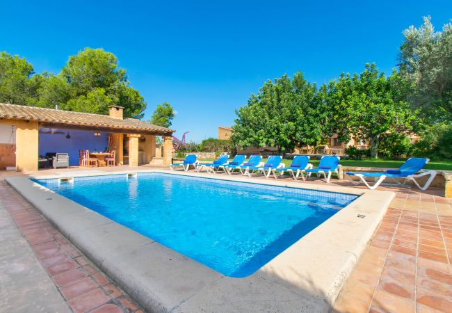 Country house in Manacor (Porto Cristo) - CAN MOLETA  Finca for 8 people near Porto Cristo