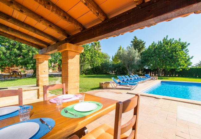 Country house in Manacor (Porto Cristo) - CAN MOLETA  Finca for 8 people near Porto Cristo