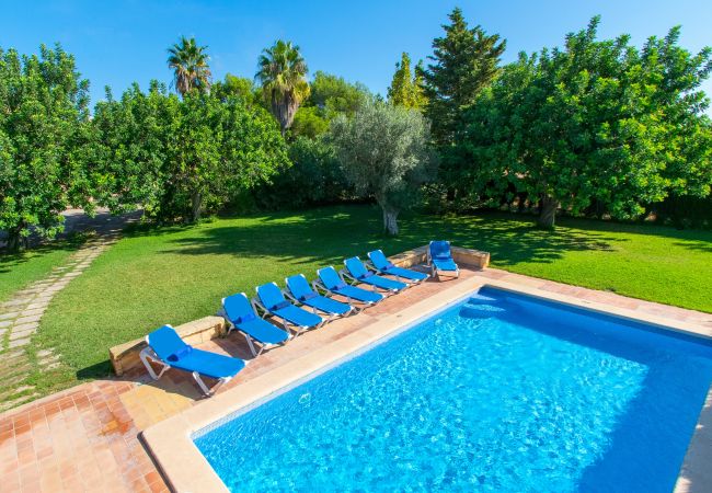 Country house in Manacor (Porto Cristo) - CAN MOLETA  Finca for 8 people near Porto Cristo