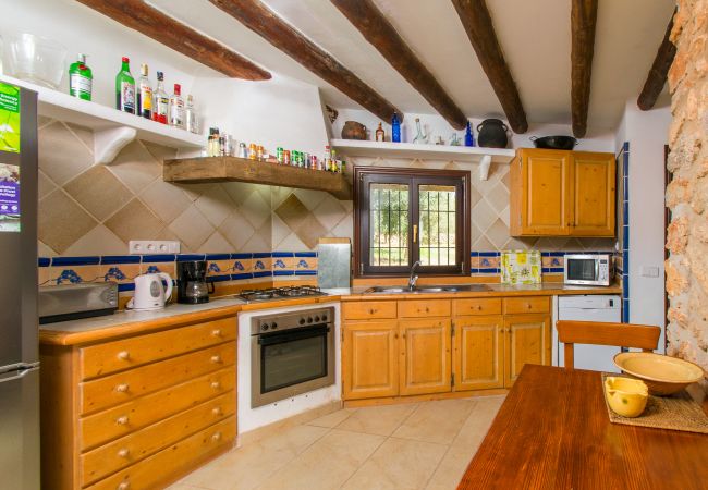 Country house in Manacor (Porto Cristo) - CAN MOLETA  Finca for 8 people near Porto Cristo