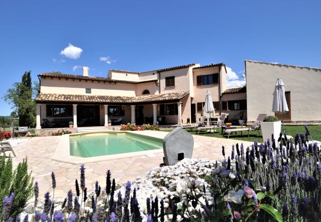  in Selva - SON RUBI Finca for 7 in Selva with Pool