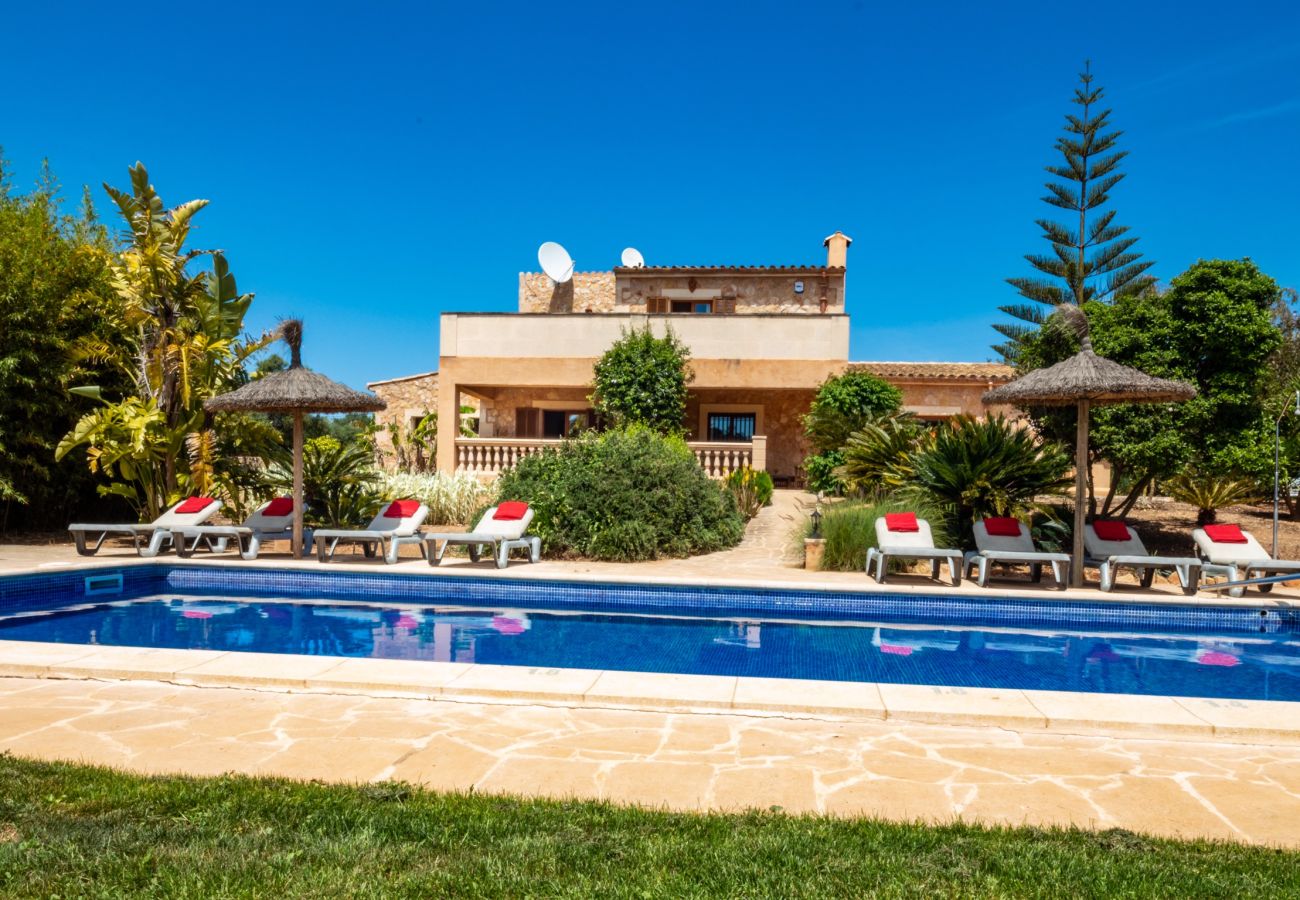 Country house in Felanitx - Son Peris Finca for 8 people with pool in Felanitx